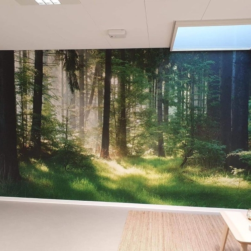 Opsætning af fotostater i Støvring