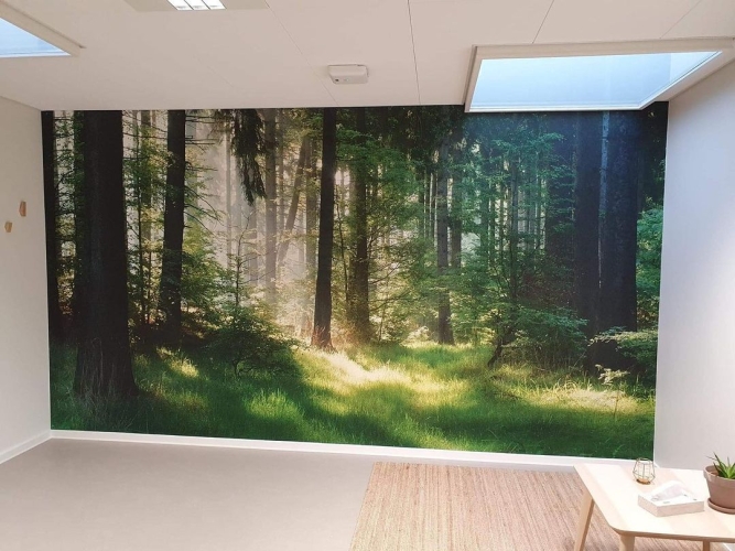 Opsætning af fotostater i Støvring